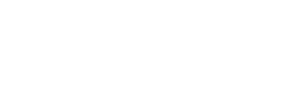 Visor logo